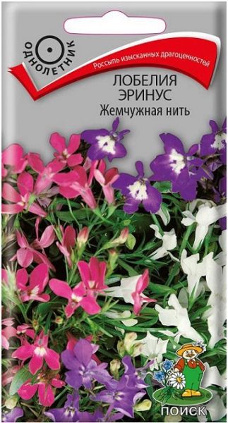 Однолетник Лобелия эринус Жемчужная нить ЦВ Поиск