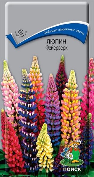 Многолетник Люпин (декоративный) Фейерверк  ЦВ Поиск