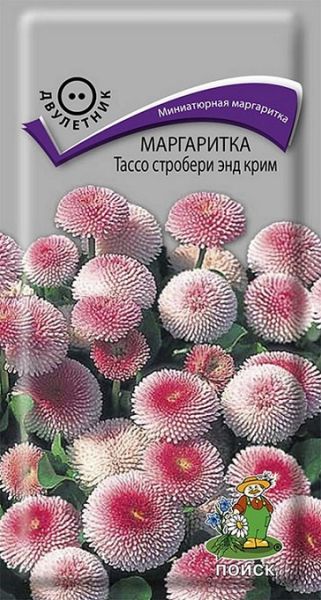 Многолетник Маргаритка Тассо Стробери энд Крим  ЦВ Поиск