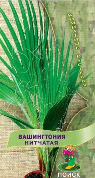 Комнатные Вашингтония (нитеносная) Нитчатая  ЦВ Поиск