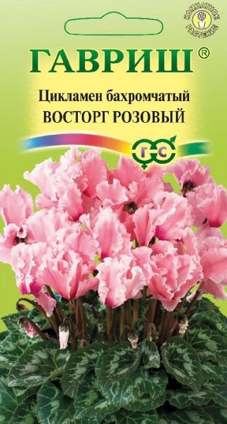 Комнатные Цикламен махровый Восторг розовый ЭК Гавриш