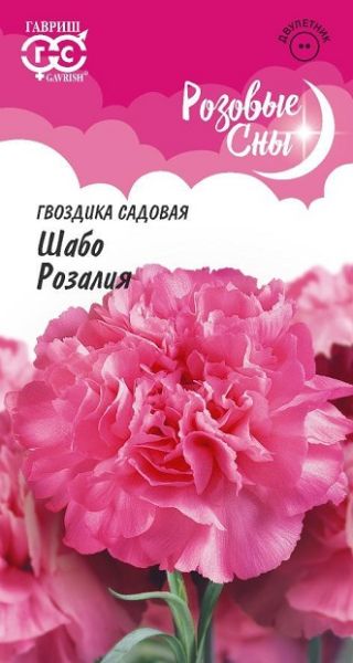 Двулетник Гвоздика Шабо Розалия  Гавриш