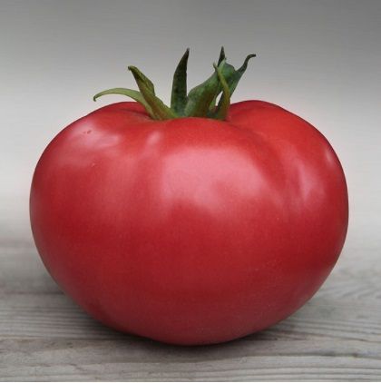 Томат ЗЕРСИ (КИБО) F1 / ZERSI (KIBO) F1 Kitano Seeds