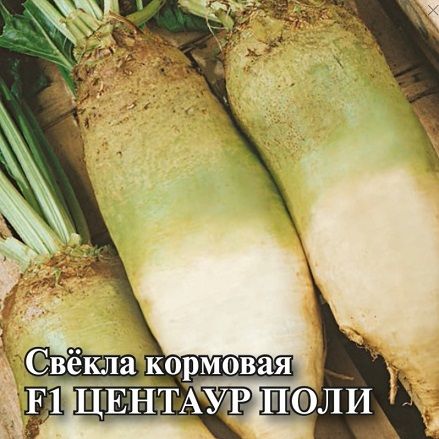 Свекла кормовая ЦЕНТАУР ПОЛИ Гавриш