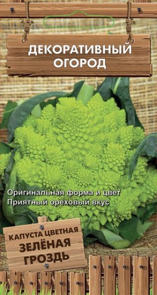Капуста цветная ЗЕЛЕНАЯ ГРОЗДЬ Декор.огород Поиск
