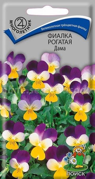 Многолетник Фиалка рогатая Дама ЦВ Поиск