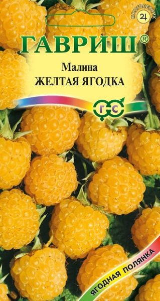 Малина ЖЕЛТАЯ ЯГОДКА Гавриш