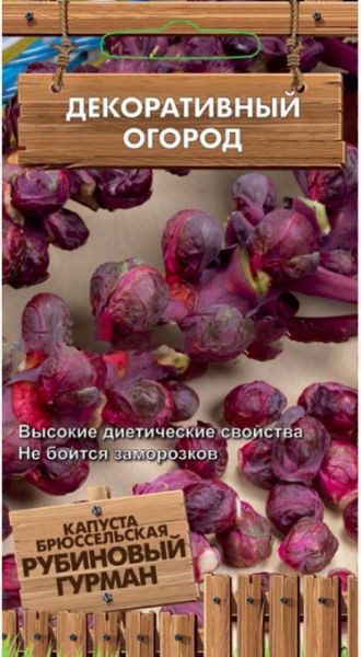 Капуста брюссельская РУБИНОВЫЙ ГУРМАН ЦВ Поиск