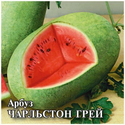 Арбуз ЧАРЛЬСТОН ГРЕЙ Гавриш