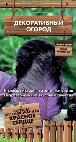 Капуста краснокочанная КРАСНОЕ СЕРДЦЕ Декор.огород Поиск