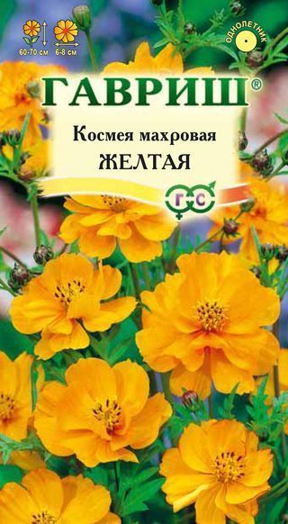 Однолетник Космея Желтая Гавриш
