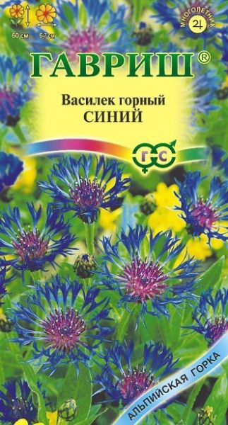 Многолетник Василек горный Синий Альпийская горка Гавриш