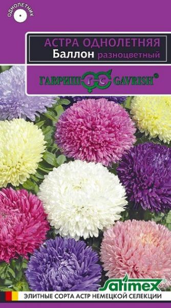 Однолетник Астра Баллон разноцветный Гавриш