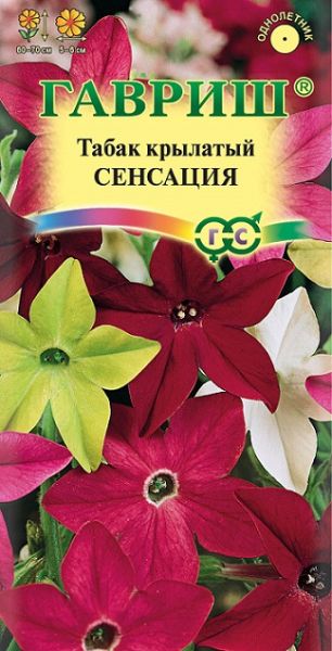Однолетник Табак Сенсация душистый смесь Гавриш