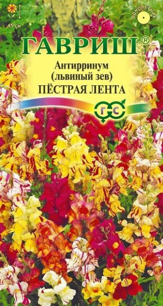 Однолетник Львиный зев Пестрая лента Гавриш