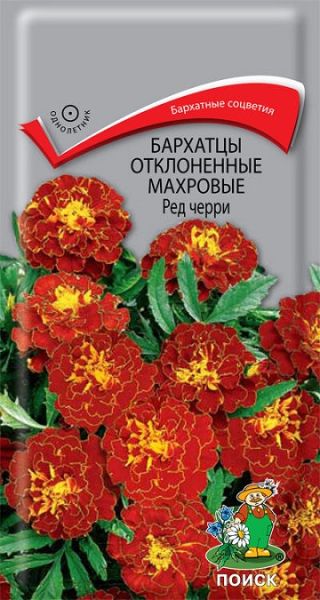 Однолетник Бархатцы отклоненные махровые Ред черри Поиск