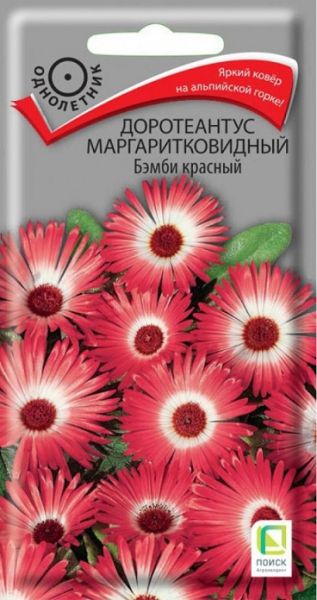 Однолетник Доротеантус маргаритковидный Бэмби красный Поиск