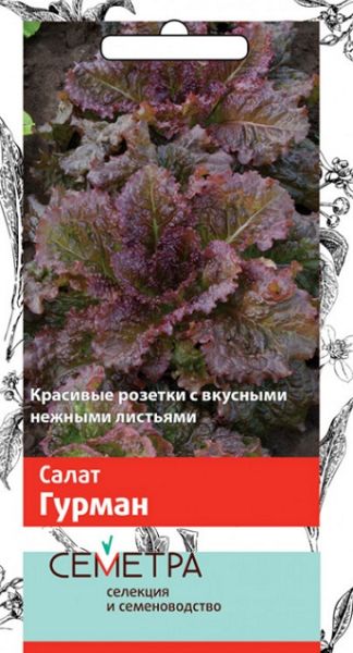 Салат листовой ГУРМАН Семетра Поиск