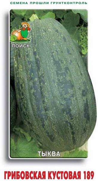 Тыква твердокорая ГРИБОВСКАЯ кустовая ЦВ Поиск