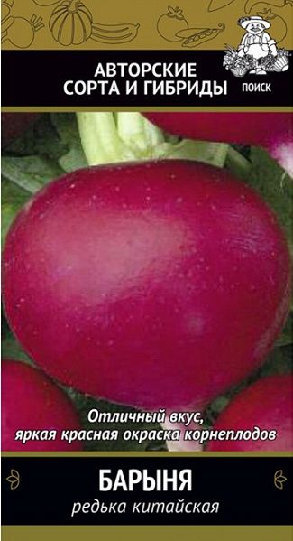 Редька китайская БАРЫНЯ Поиск