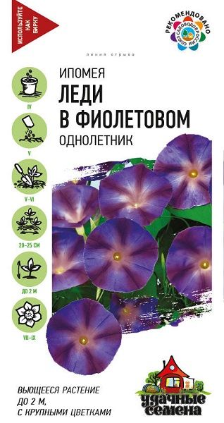 Однолетник Ипомея Леди в фиолетовом Уд.с. Гавриш
