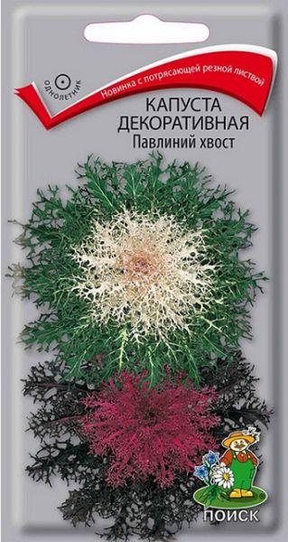 Капуста декоративная Павлиний хвост ЦВ Поиск
