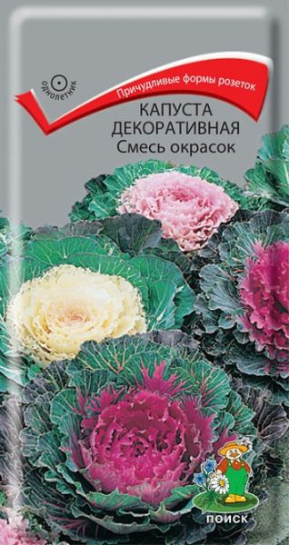 Капуста декоративная Смесь окрасок ЦВ Поиск