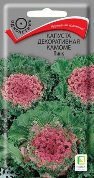 Капуста декоративная Камоме Пинк ЦВ Поиск