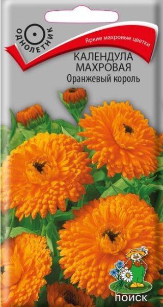 Однолетник Календула махровая Оранжевый король Поиск