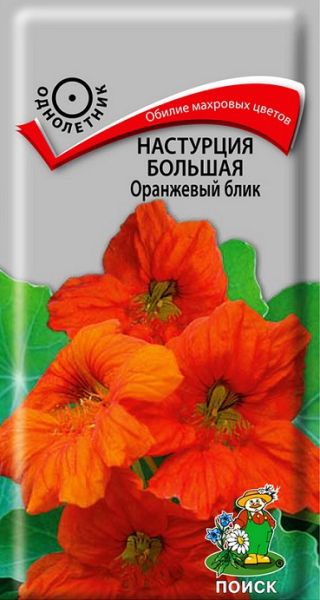 Однолетник Настурция большая Оранжевый блик Поиск