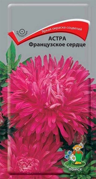 Однолетник Астра Французское сердце Поиск