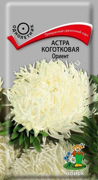 Однолетний Астра коготковая Ориент Поиск