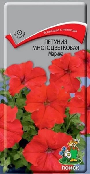 Однолетник Петуния Марика F1 многоцветковая Поиск