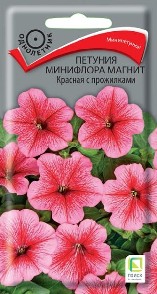 Однолетник Петуния минифлора магнит Красная с прожилками ЦВ Поиск