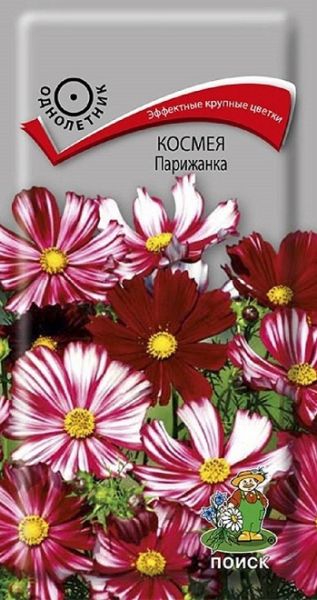 Однолетник Космея Парижанка ЦВ Поиск