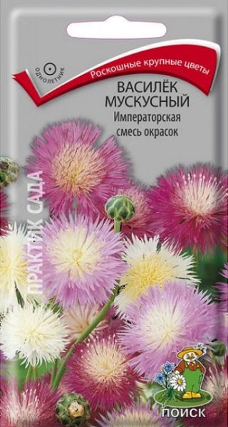 Однолетник Василек мускусный Императорская смесь окрасок Поиск