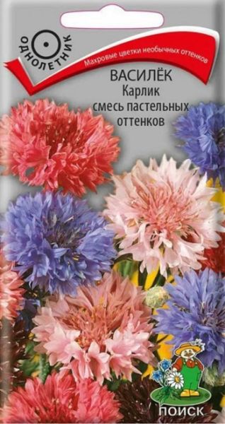 Однолетник Василек Карлик смесь пастельных оттенков Поиск