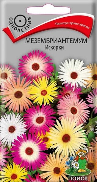 Однолетник Мезембриантемум Искорки Поиск