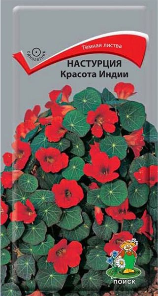 Однолетник Настурция Красота Индии Поиск