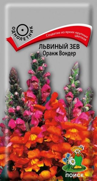 Однолетник Львиный зев Оранж Вондер Поиск