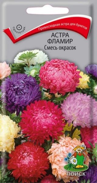 Однолетник Астра Фламир Смесь окрасок ЦВ Поиск
