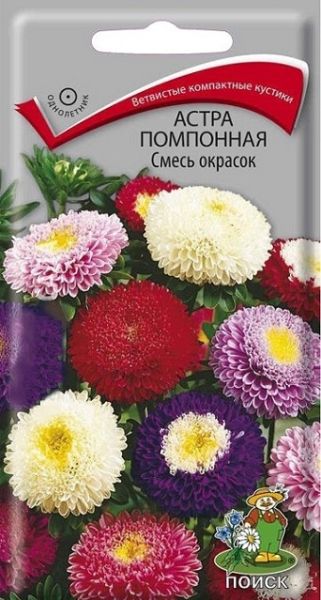 Однолетник Астра помпонная Смесь окрасок Поиск