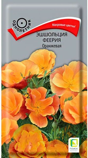 Однолетник Эшшольция Феерия оранжевая ЦВ Поиск