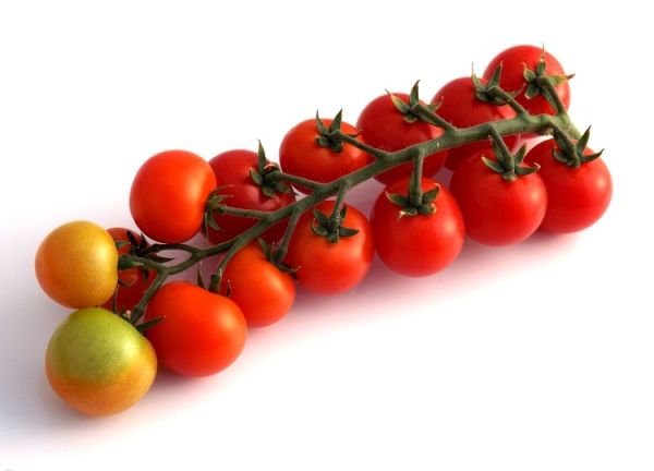 Томат БАМБИНО F1 / BAMBINO F1 Global Seeds