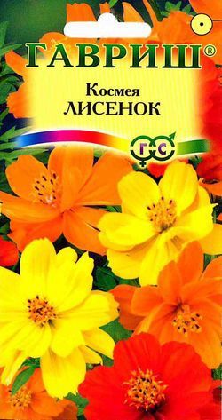 Однолетник Космея Лисенок (Полидор) Гавриш