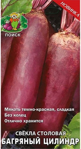 Свекла БАГРЯНЫЙ ЦИЛИНДР ЦВ Поиск