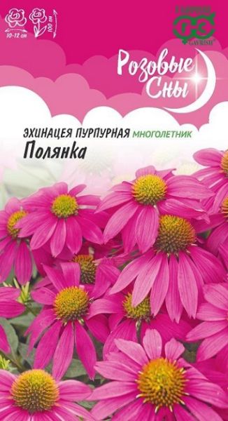 Многолетник Эхинацея Полянка Розовые сны Гавриш