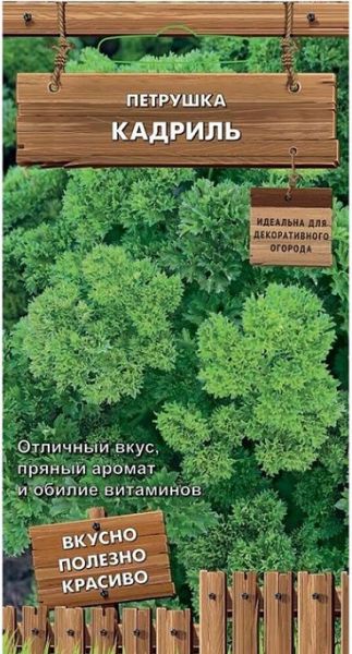 Петрушка КАДРИЛЬ ДО Поиск