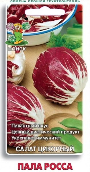 Салат цикорный ПАЛА РОССА ЦВ Поиск