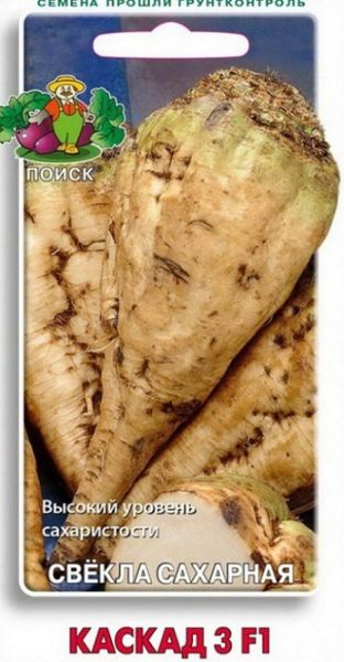 Свекла КАСКАД Поиск